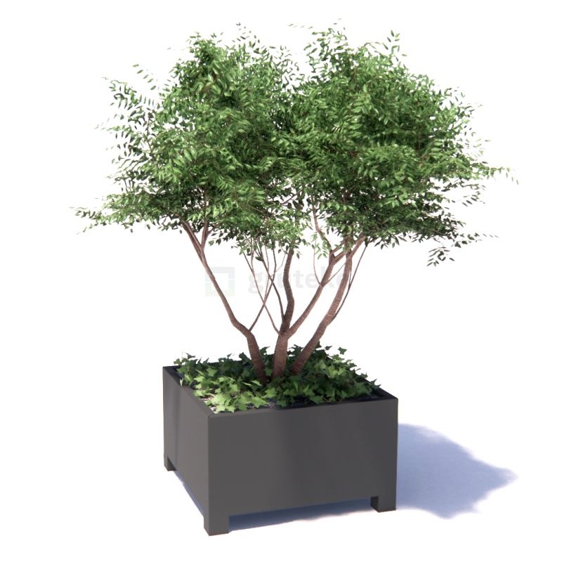 FLORIDA met poten 100x100x60 cm plantenbak