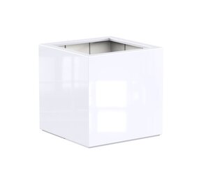 Buxus Hoogglans polyester 80x80x80 cm plantenbak Buxus Hoogglans polyester 80x80x80 cm plantenbak