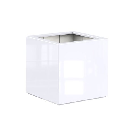 Buxus Hoogglans polyester 80x80x80 cm plantenbak Buxus Hoogglans polyester 80x80x80 cm plantenbak