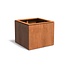 Domus cortenstaal 82x82x70 cm plantenbak Domus cortenstaal 82x82x70 cm plantenbak