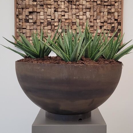 Dipott BOCCA cortenstaal 80x41 cm plantenschaal Dipott BOCCA cortenstaal 80x41 cm plantenschaal