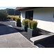 Buxus polyester 200x50x60 cm met wielen plantenbak Buxus polyester 200x50x60 cm met wielen plantenbak
