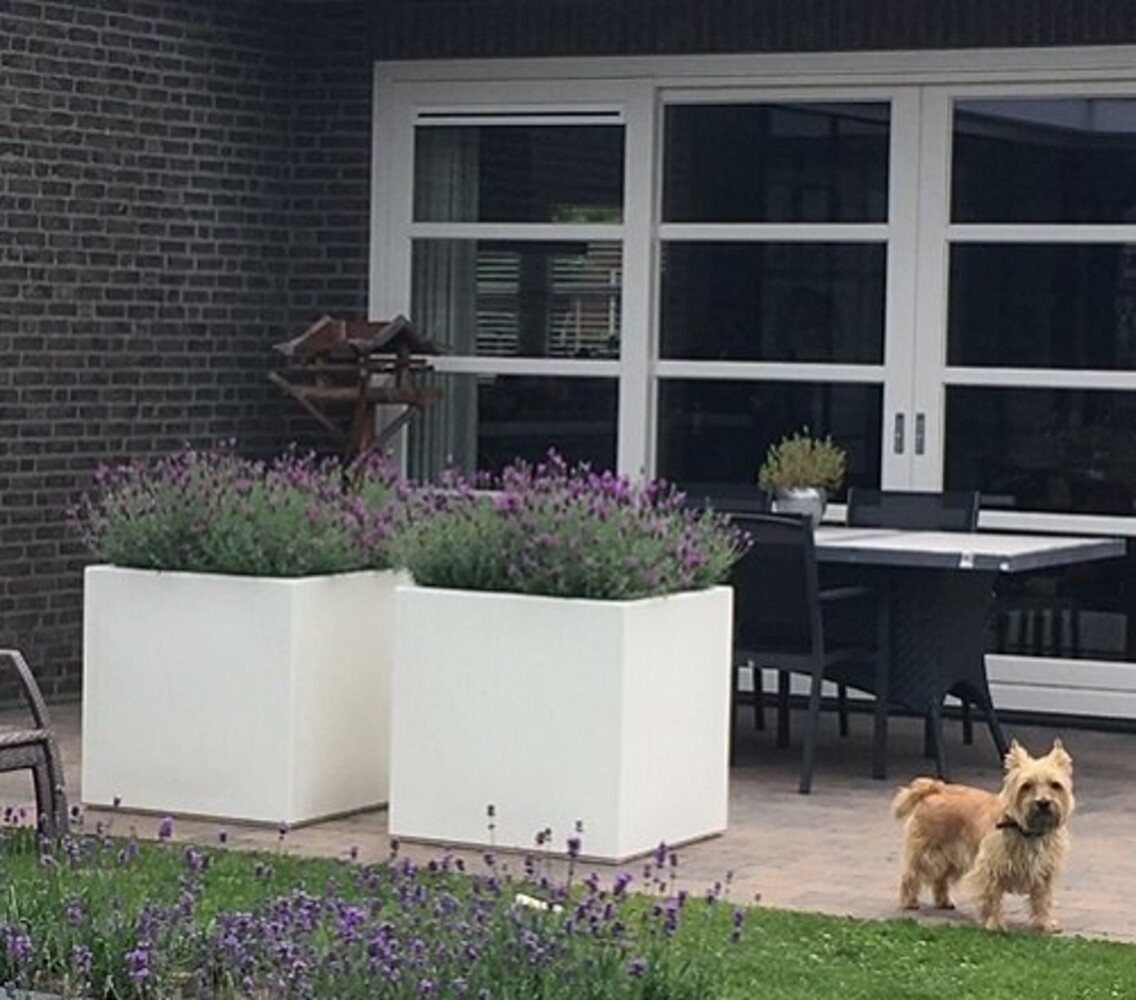 Buxus polyester 120x50x50 cm met wielen plantenbak
