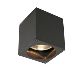 SLV BIG Theo QPAR111 Antraciet plafondlamp SLV BIG Theo QPAR111 Antraciet plafondlamp