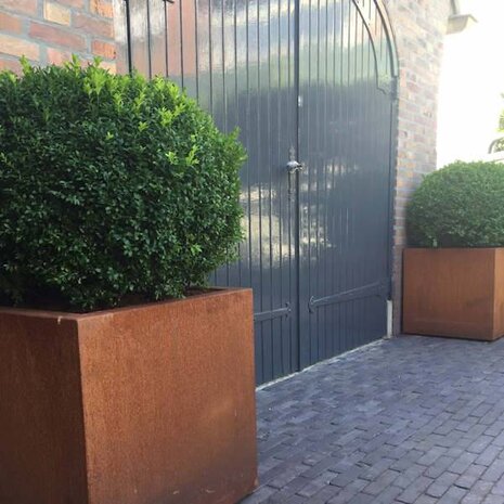 Andes cortenstaal 80x80x80 cm plantenbak met wielen Andes cortenstaal 80x80x80 cm plantenbak met wielen
