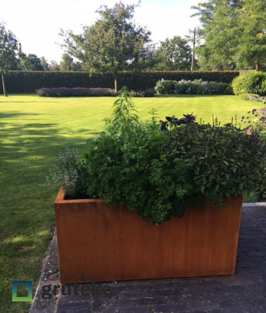 Andes cortenstaal 50x50x50 cm plantenbak met wielen Andes cortenstaal 50x50x50 cm plantenbak met wielen