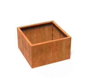 Carrez Connect cortenstaal 100 x 100 x h.  60 cm plantenbak Carrez Connect cortenstaal 100 x 100 x h.  60 cm plantenbak