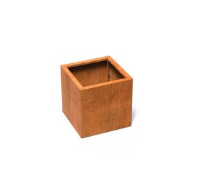 Carrez Connect cortenstaal 60 x 60 x h. 60 cm plantenbak Carrez Connect cortenstaal 60 x 60 x h. 60 cm plantenbak