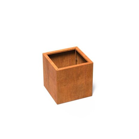 Carrez Connect cortenstaal 60 x 60 x h. 60 cm plantenbak Carrez Connect cortenstaal 60 x 60 x h. 60 cm plantenbak