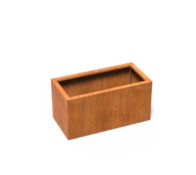 Carrez Connect cortenstaal 100 x 50 x h. 50 cm plantenbak Carrez Connect cortenstaal 100 x 50 x h. 50 cm plantenbak