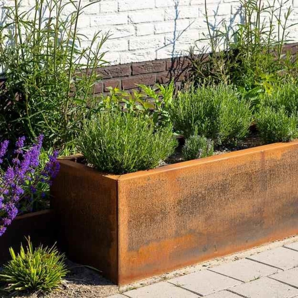 Carrez Connect cortenstaal 120 x 40 x h. 80 cm plantenbak Carrez Connect cortenstaal 120 x 40 x h. 80 cm plantenbak