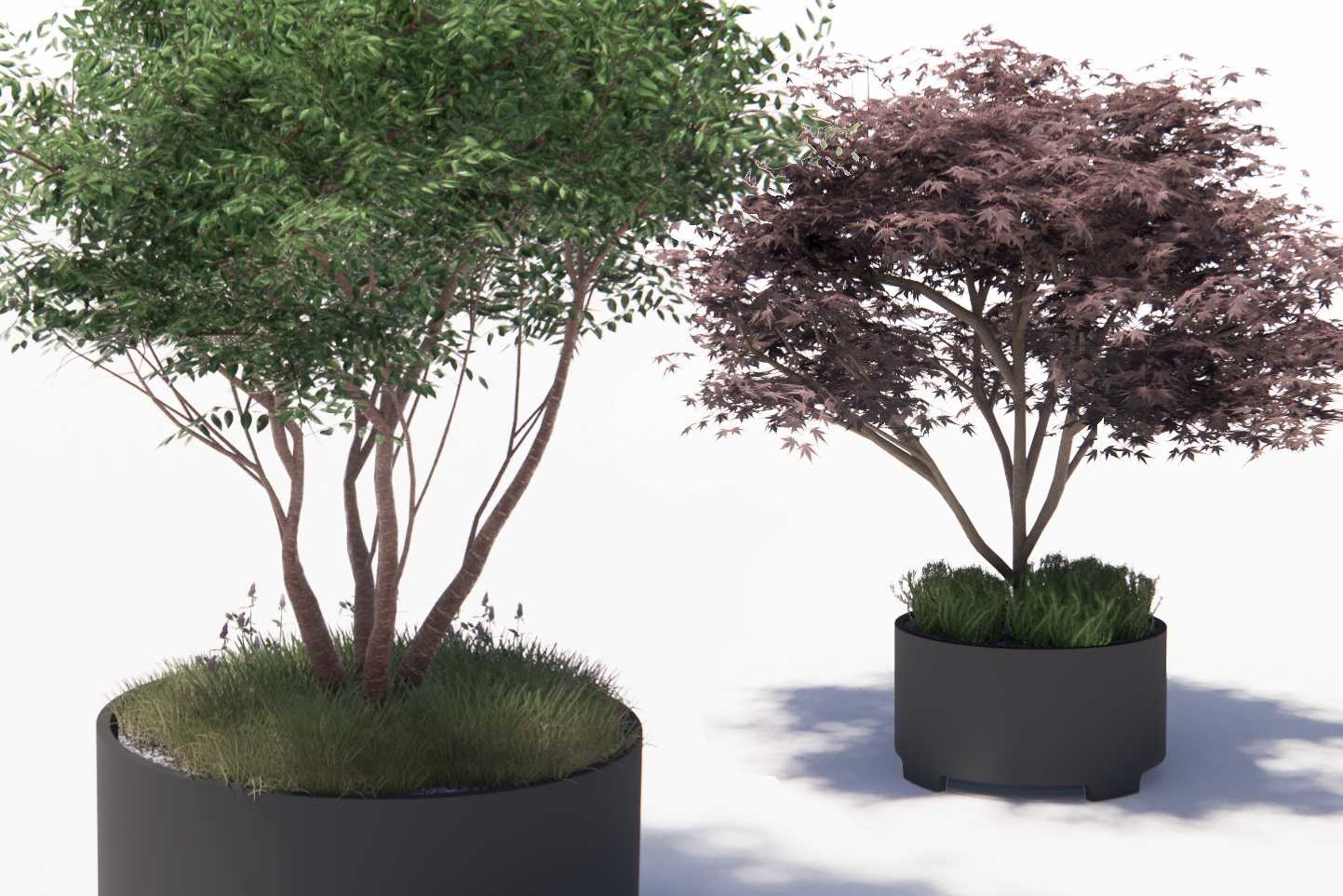 Wat is de ideale boombak? Wat is de ideale boombak?