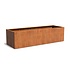 Andes cortenstaal 300x100x80 cm  zonder bodem Andes cortenstaal 300x100x80 cm  zonder bodem