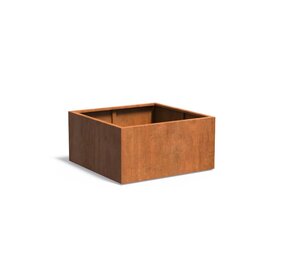 Andes cortenstaal 120x120x60 cm plantenbak Andes cortenstaal 120x120x60 cm plantenbak
