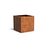 Andes cortenstaal 100x100x100 cm plantenbak Andes cortenstaal 100x100x100 cm plantenbak