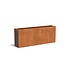 Andes cortenstaal 200x40x80 cm plantenbak Andes cortenstaal 200x40x80 cm plantenbak