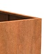 Andes cortenstaal 80x80x40 cm zonder bodem Andes cortenstaal 80x80x40 cm zonder bodem