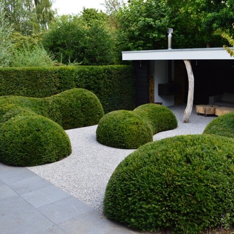 Bera T- and L- Edge Pro kantopsluiting