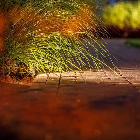 Lightpro Tiga DL 12V Lightpro Tiga DL 12V