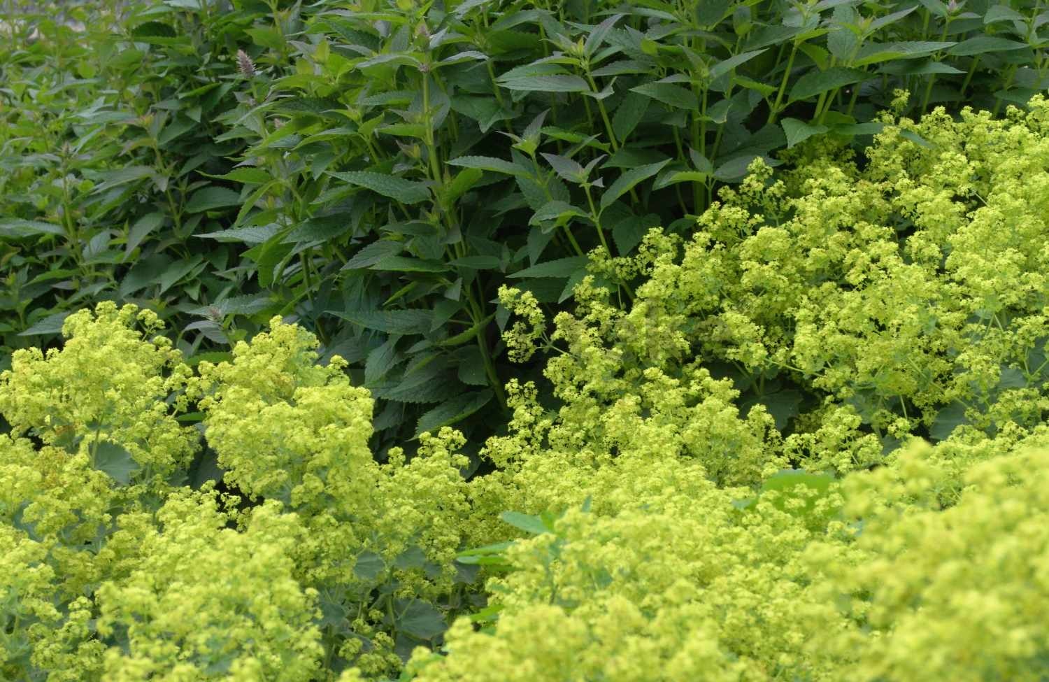 Verduurzaam uw tuin! 14 tips