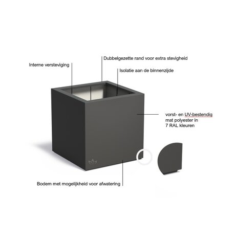 Buxus polyester 80x80x80 cm plantenbak Buxus polyester 80x80x80 cm plantenbak