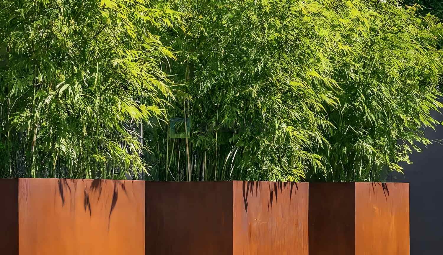 Bamboe in cortenstaal bloembak