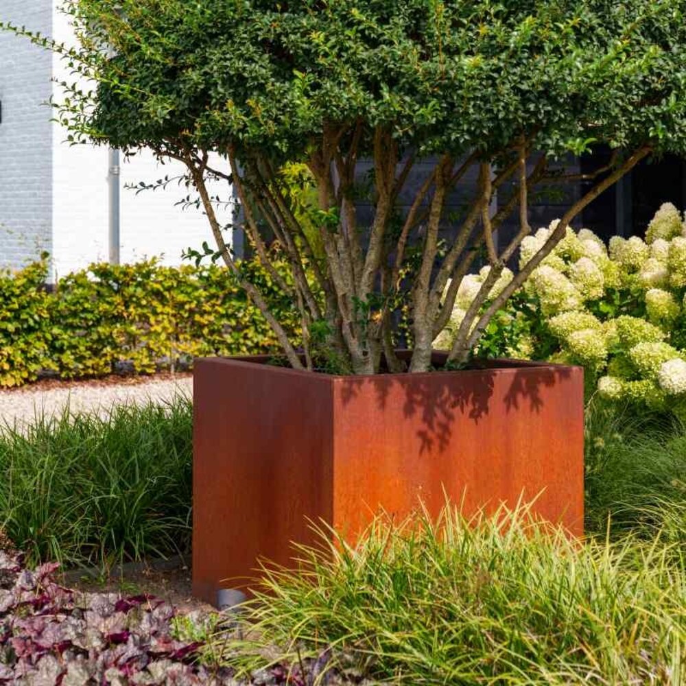 Andes cortenstaal 120x120x60 cm plantenbak Andes cortenstaal 120x120x60 cm plantenbak