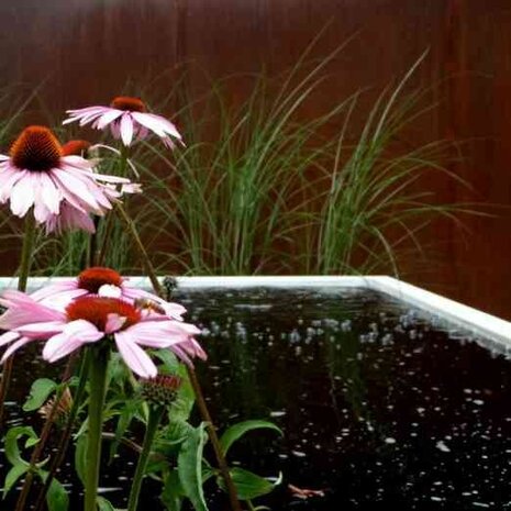 Vijver aluminium 300 x 100 x 40 cm