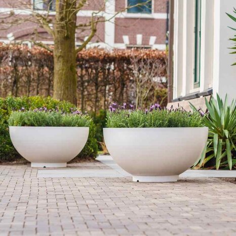 Dipott BOCCA  80 x h.41 cm plantenschaal