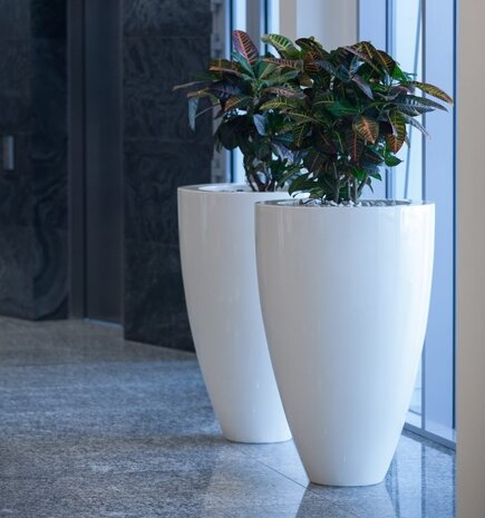 Canna Hoogglans polyester 72x84 cm plantenbak Canna Hoogglans polyester 72x84 cm plantenbak