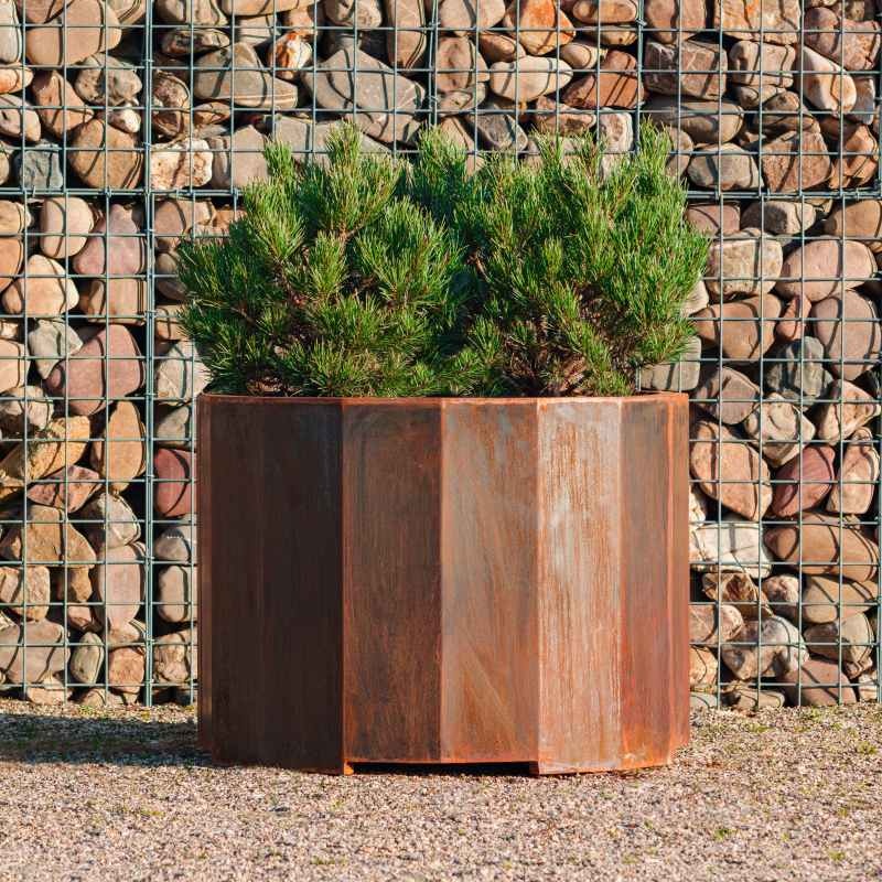 Dipott Boxer cortenstaal 80x60 cm plantenbak