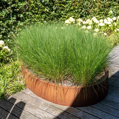 Ellipse cortenstaal 200 x 120 x h.60 cm bloembak zonder bodem