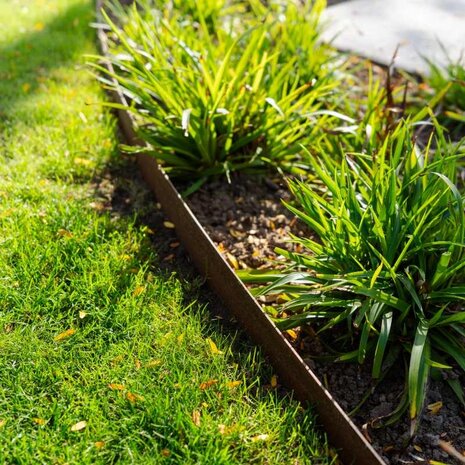 Kantopsluiting cortenstaal recht 230 cm 2 mm (40 st )