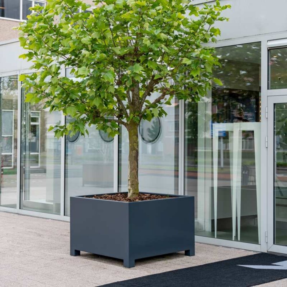 FLORIDA met poten 100x100x80 cm plantenbak FLORIDA met poten 100x100x80 cm plantenbak