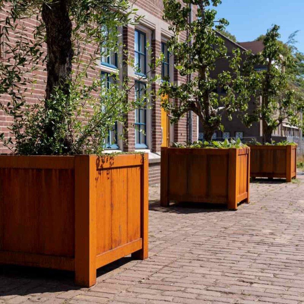 Dipott YORK cortenstaal 100 x 100 x 80 cm plantenbak