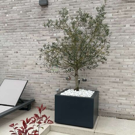 Buxus polyester 80x80x80 cm met wielen plantenbak Buxus polyester 80x80x80 cm met wielen plantenbak