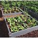 Ecoo Moestuinbak kunststof 80 x 120 x h. 22 cm Ecoo Moestuinbak kunststof 80 x 120 x h. 22 cm