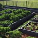 Ecoo Moestuinbak kunststof 80 x 120 x h. 22 cm Ecoo Moestuinbak kunststof 80 x 120 x h. 22 cm