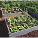 Ecoo Moestuinbak kunststof 60 x 60 x h. 22 cm Ecoo Moestuinbak kunststof 60 x 60 x h. 22 cm