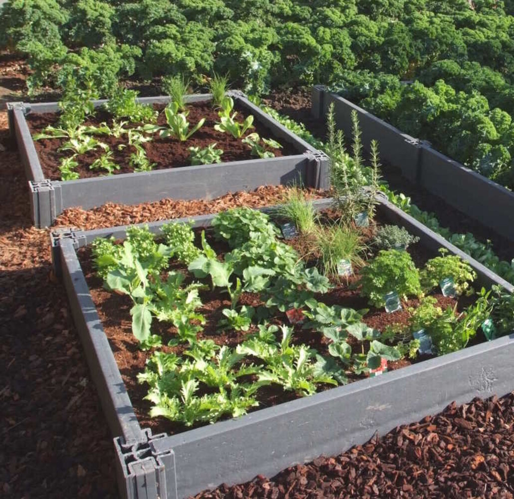 Ecoo Moestuinbak kunststof 120 x 200 x h. 22 cm Ecoo Moestuinbak kunststof 120 x 200 x h. 22 cm