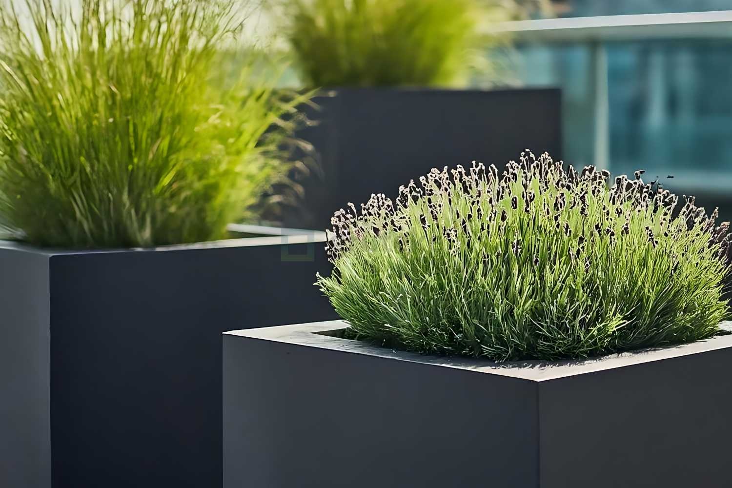 Hoe kies je de juiste plantenbak voor buiten? Hoe kies je de juiste plantenbak voor buiten?