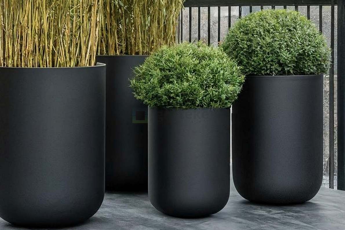 Onderhoud van bloembakken: Tips voor gezonde buitenplanten