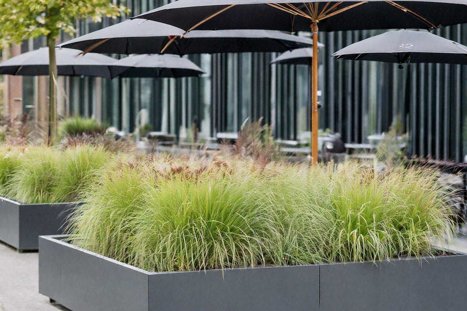 Vergroen uw bedrijfstuin en terras met bloembakken