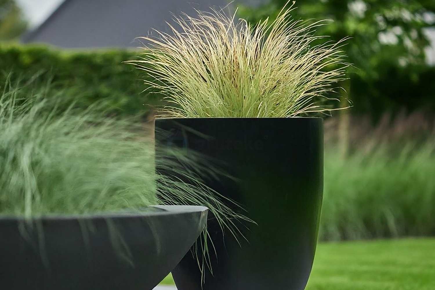 Stijlvol! Zwarte bloembakken voor de moderne tuin