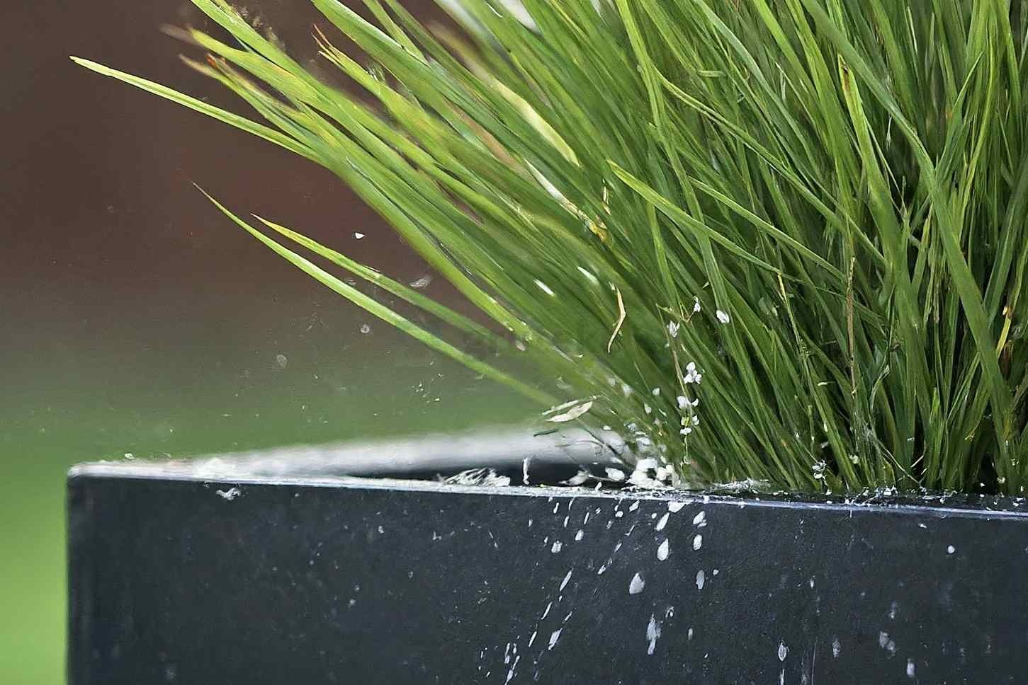 Plantenbak voor buiten watergeven; TIPS Plantenbak voor buiten watergeven; TIPS