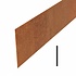 Kantopsluiting cortenstaal recht 230 cm 2 mm (40 st ) Kantopsluiting cortenstaal recht 230 cm 2 mm (40 st )