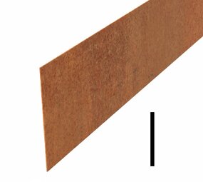 Kantopsluiting cortenstaal recht 230 cm 2 mm (20 st ) Kantopsluiting cortenstaal recht 230 cm 2 mm (20 st )
