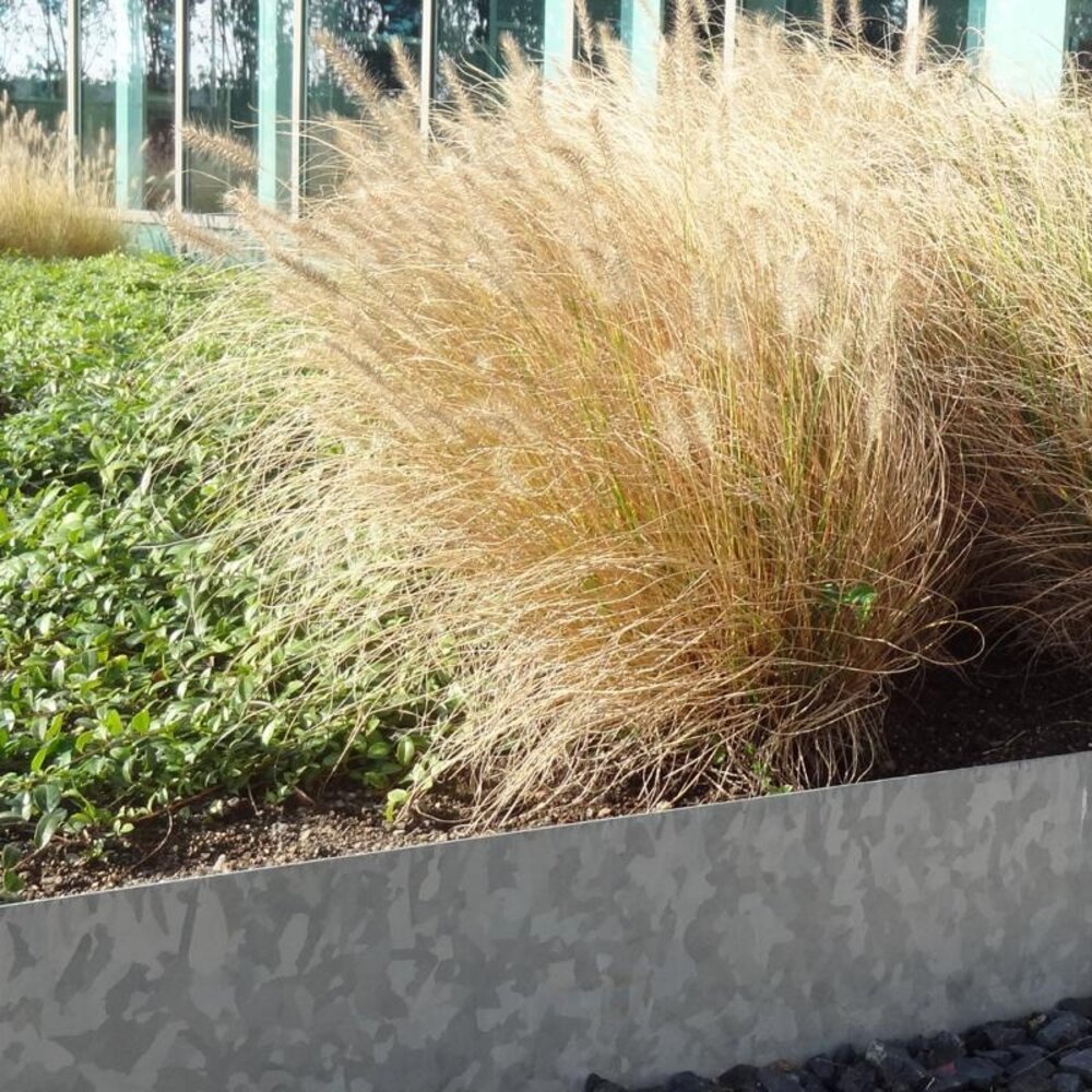 Kantopsluiting verzinkt recht 230 cm 2 mm (20 st )