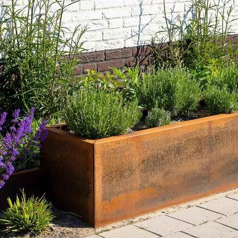 Carrez Connect cortenstaal 100 x 100 x h.  20 cm plantenbak