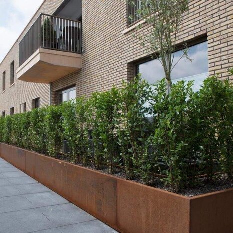 Keerwand cortenstaal 50 x 30 cm buitenbocht Keerwand cortenstaal 50 x 30 cm buitenbocht